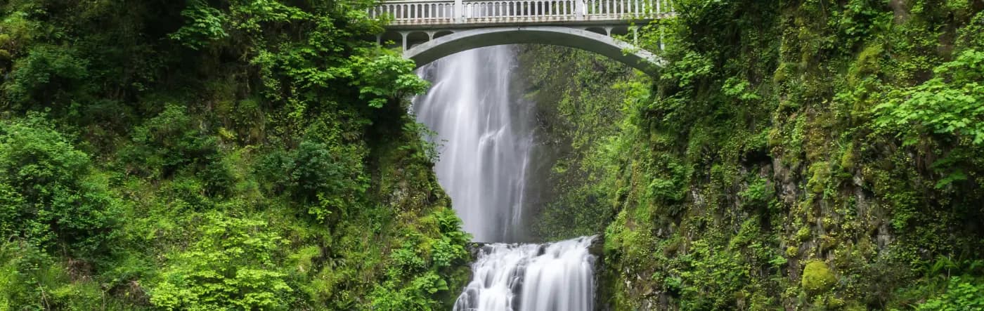 Cascada y puente entre naturaleza