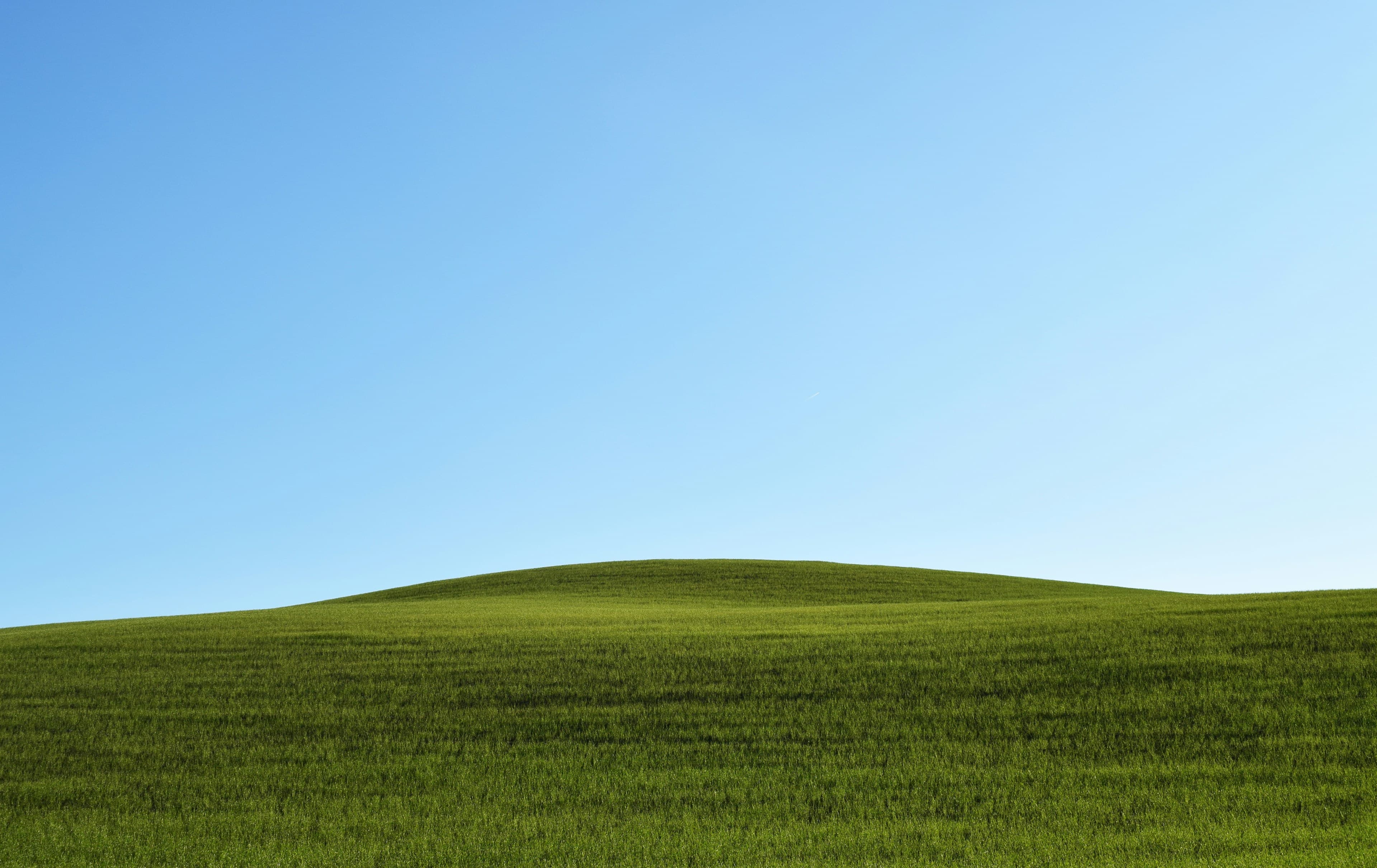 Paisaje abierto de hierba verde bajo un cielo azul suave.